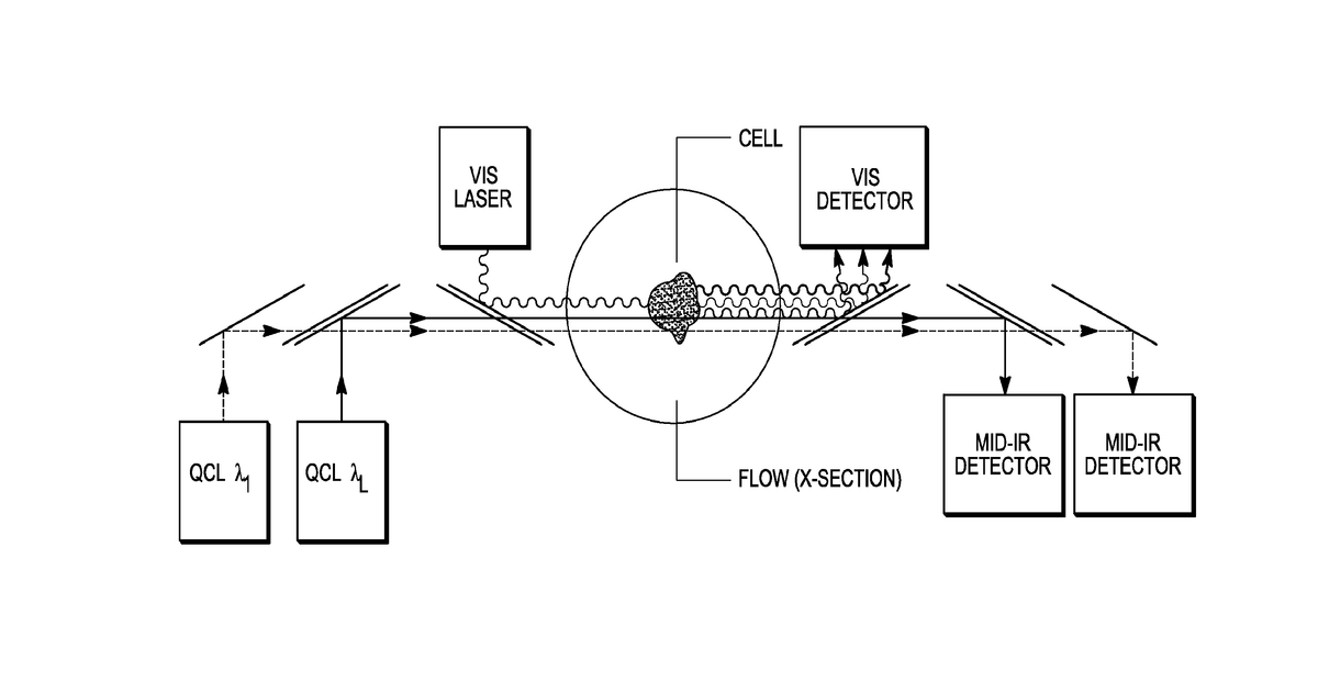 Patent drawing for Use of vibrational spectroscopy for DNA content inspection