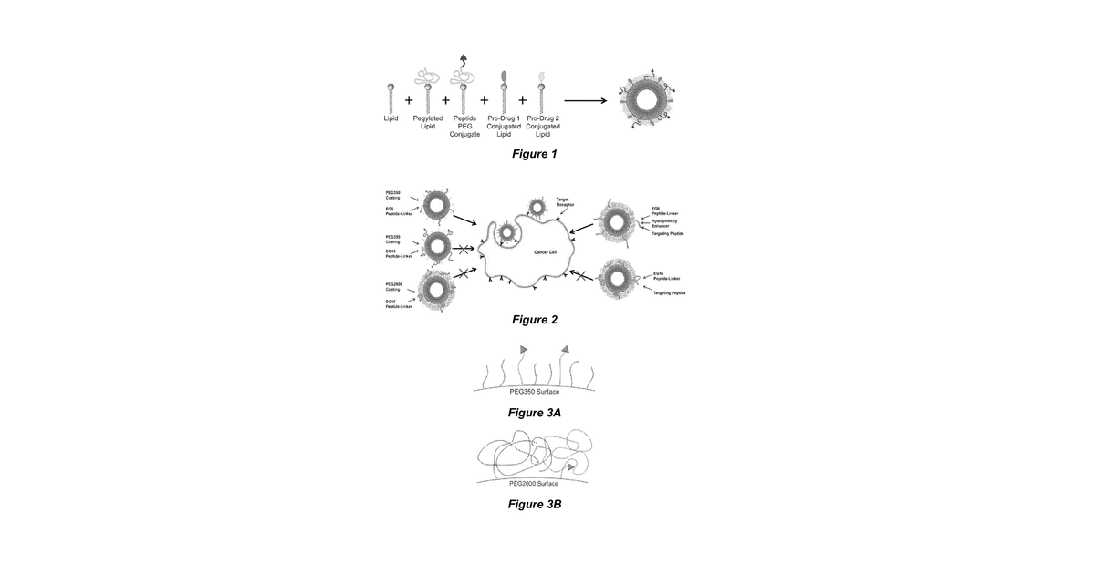 Patent drawing for Nanoparticle drug delivery systems