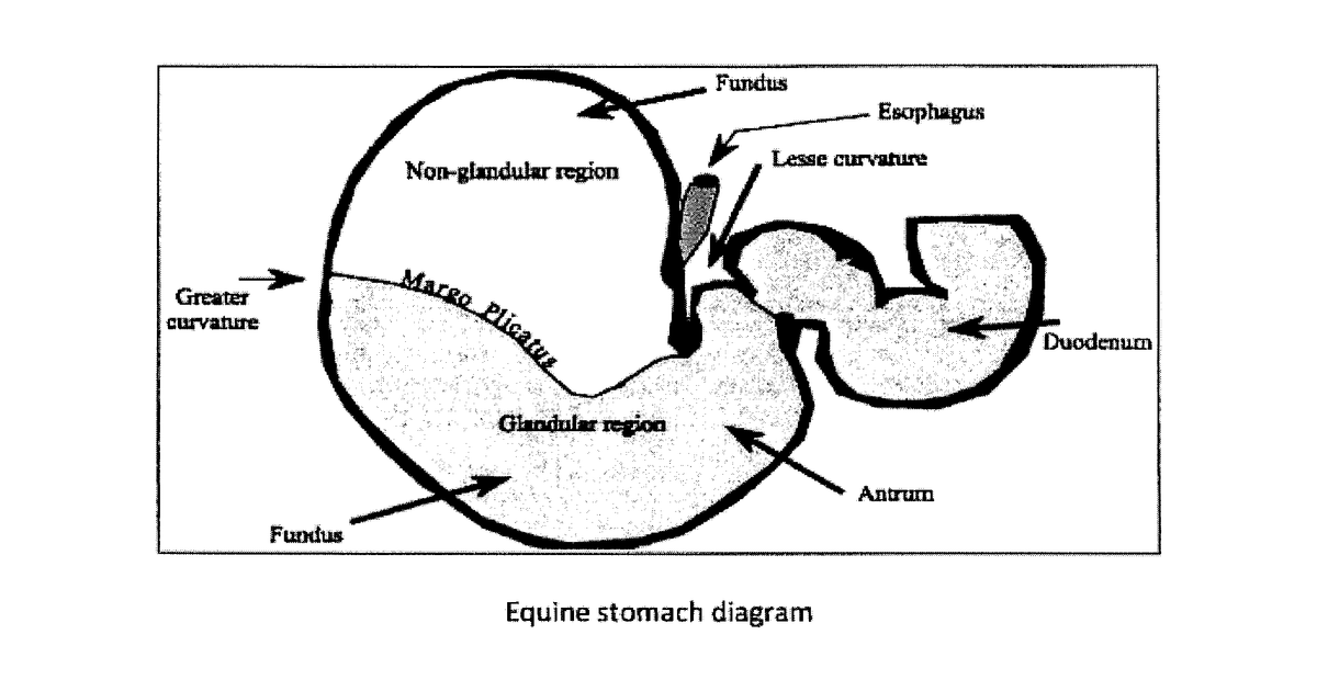 Patent drawing for Gel formulation for the prevention and treatment of gastrointestinal distress in horses and other species