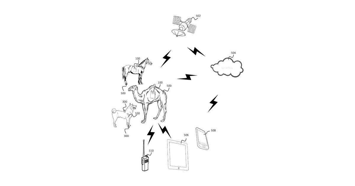 Patent drawing for Animal health system and method for monitoring performance