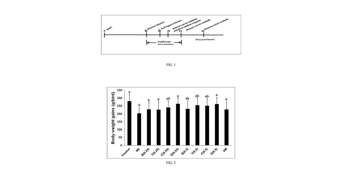 Patent drawing for Clay product and uses thereof