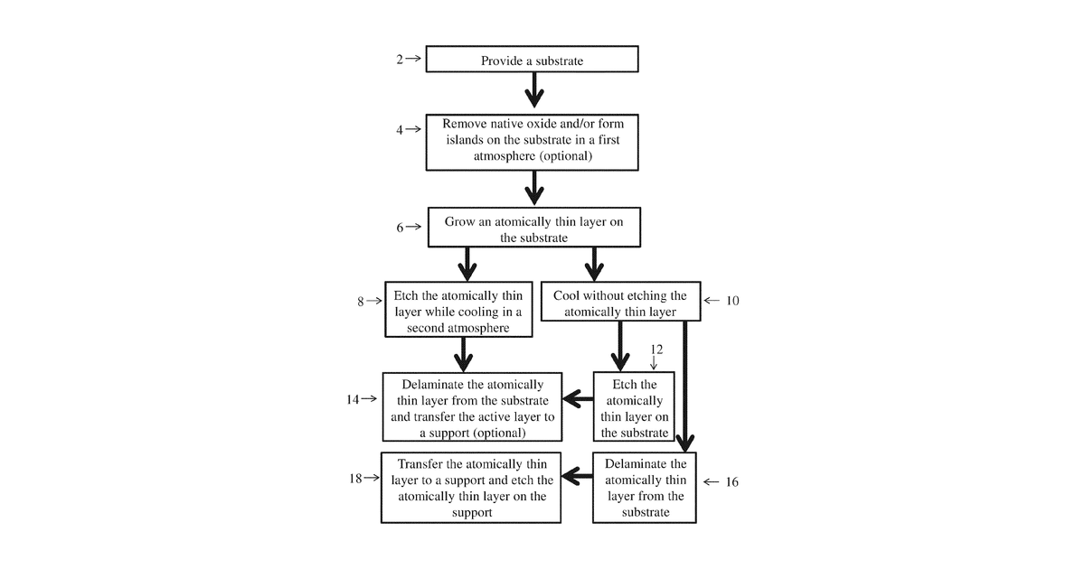 Patent drawing for Formation of pores in atomically thin layers