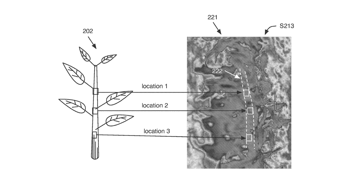 Patent drawing for Plant treatment based on morphological and physiological measurements