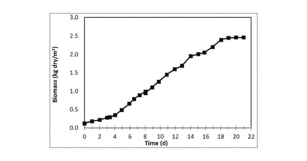 Patent drawing for Edible foodstuffs and bio reactor design