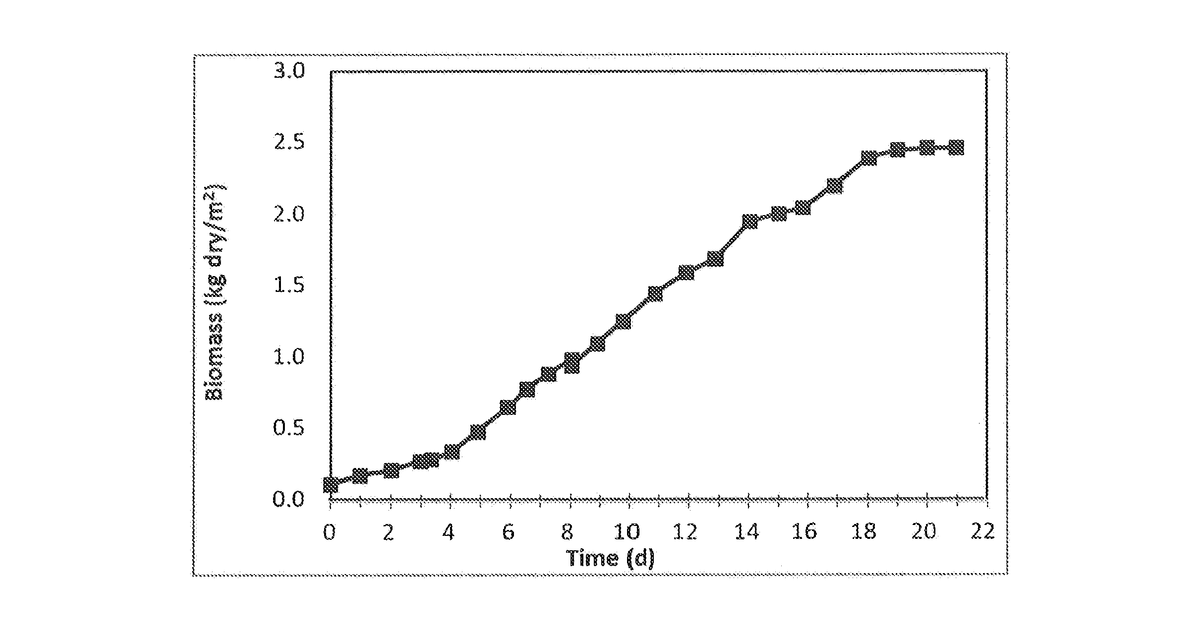 Patent drawing for Food materials comprising filamentous fungal particles and membrane bioreactor design