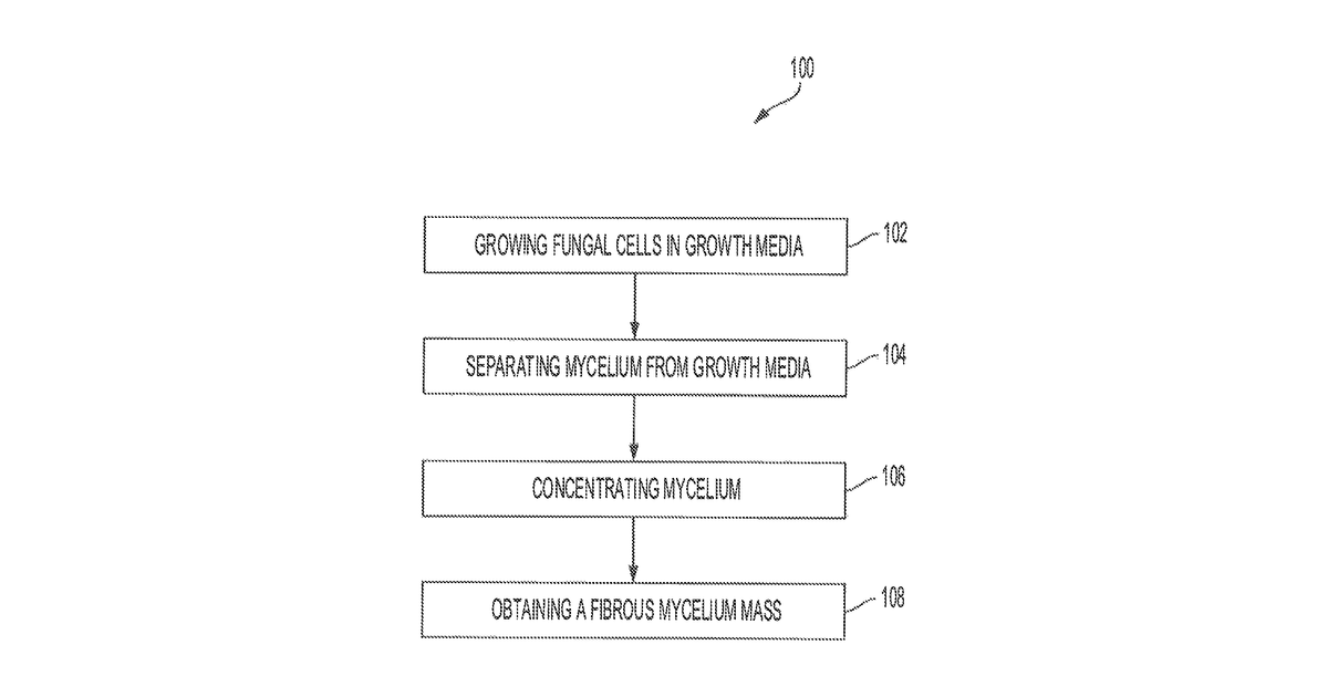 Patent drawing for Edible compositions including fungal mycelium protein