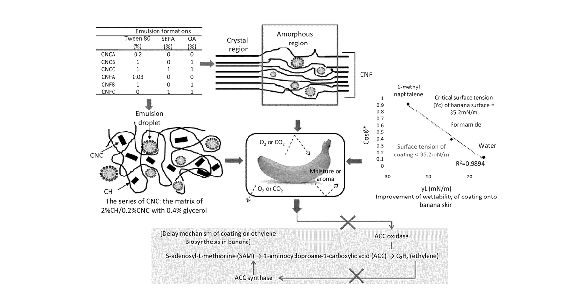 Patent drawing for Food product coatings