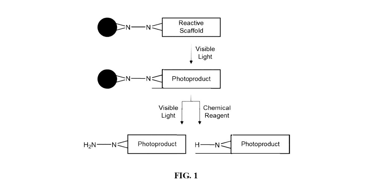 Patent drawing for Eco-friendly materials and methods for renewable and sustainable applications in material chemistry