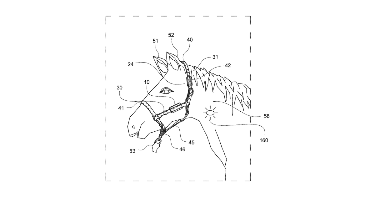 Patent drawing for Equine health and safety system and method