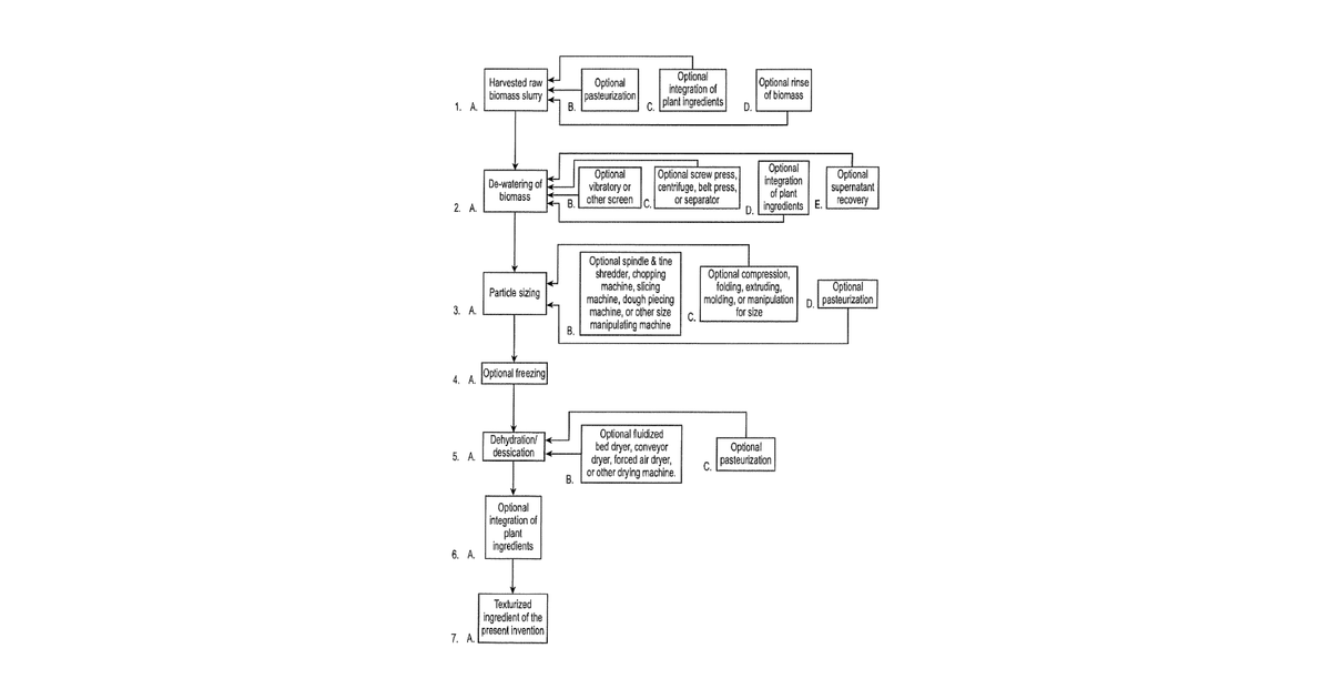 Patent drawing for Enhanced aerobic fermentation methods for producing edible fungal mycelium blended meats and meat analogue compositions