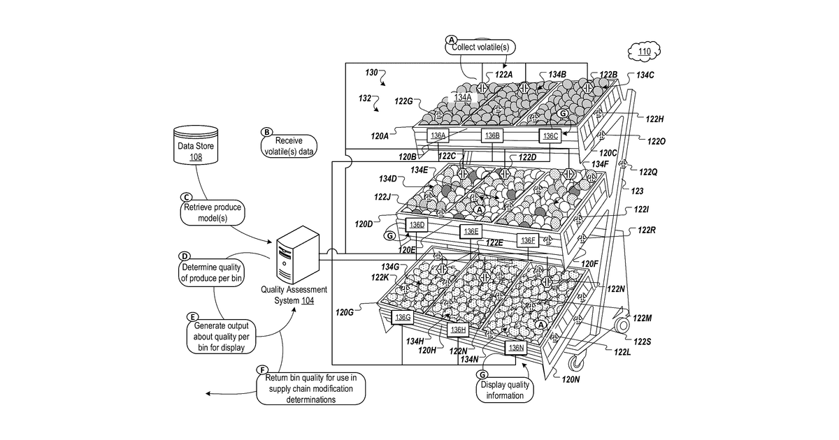 Patent drawing for Produce quality assessment and pricing metric system