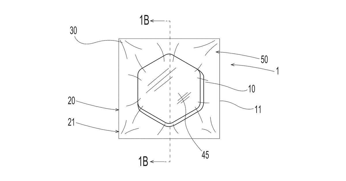 Patent drawing for Biodegradable and/or home compostable sachet containing a solid article