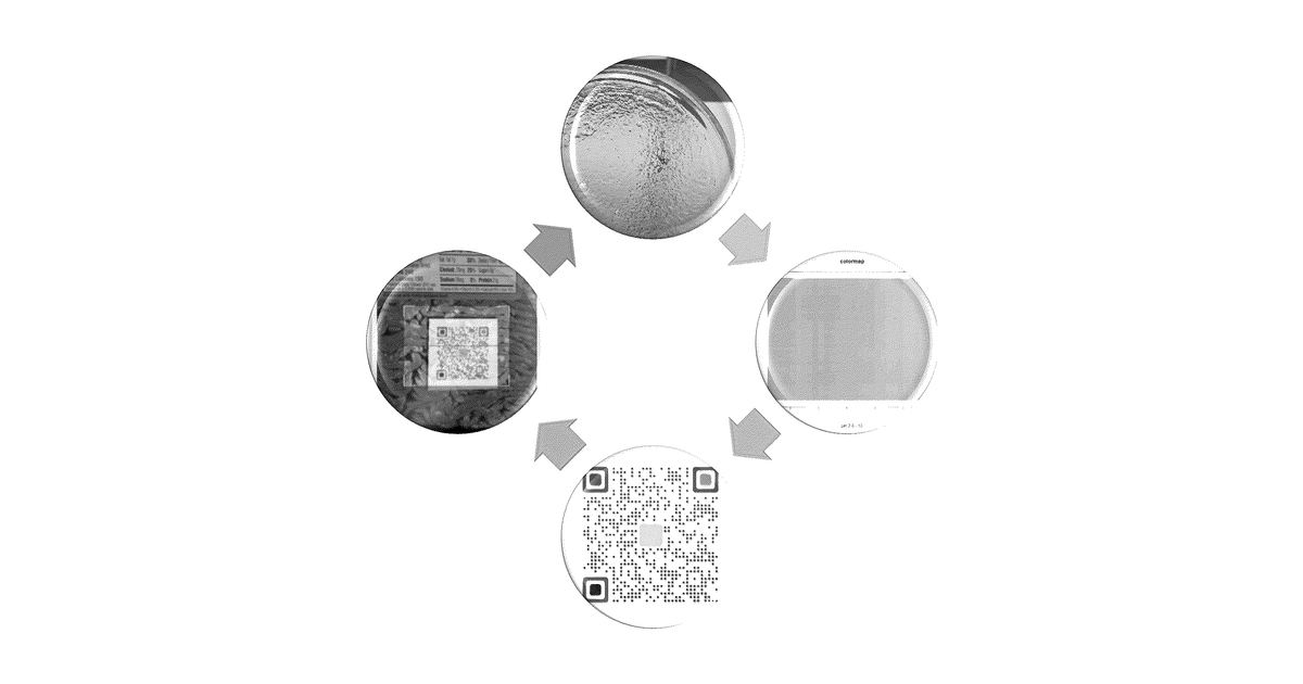 Patent drawing for Devices and methods for detecting or monitoring the quality of food products