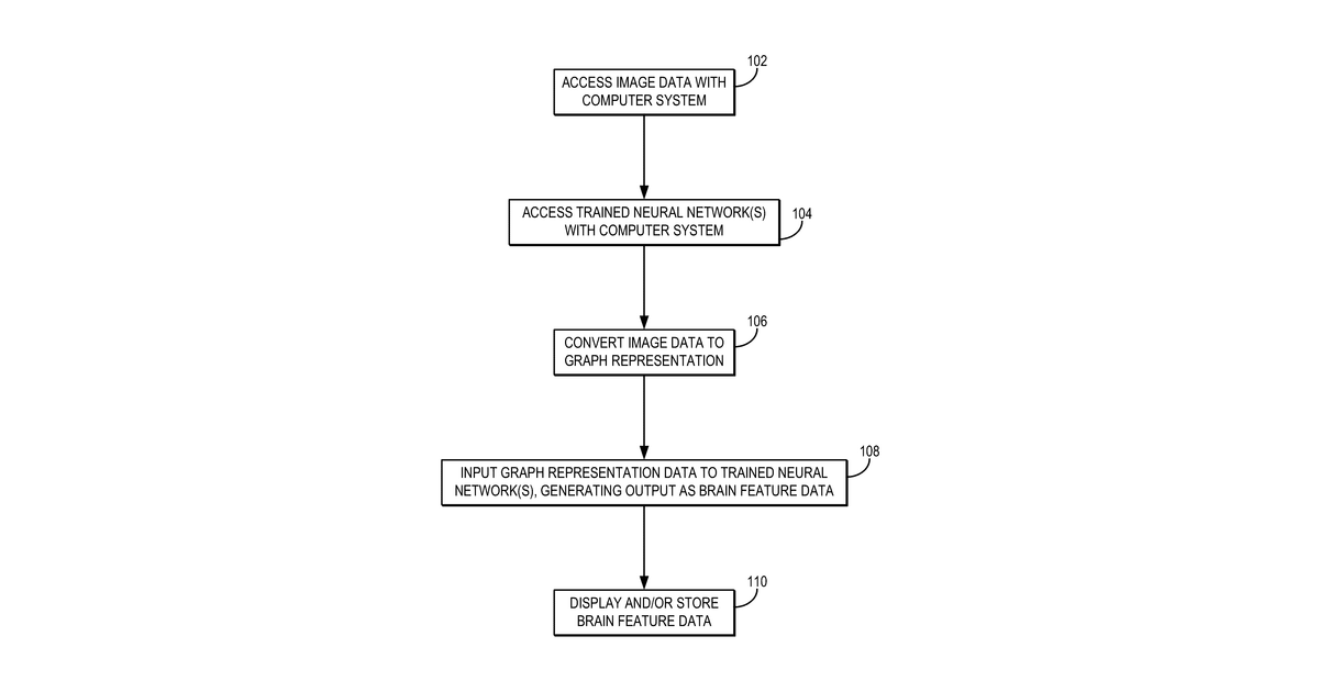 Patent drawing for Brain feature prediction using geometric deep learning on graph representations of medical image data