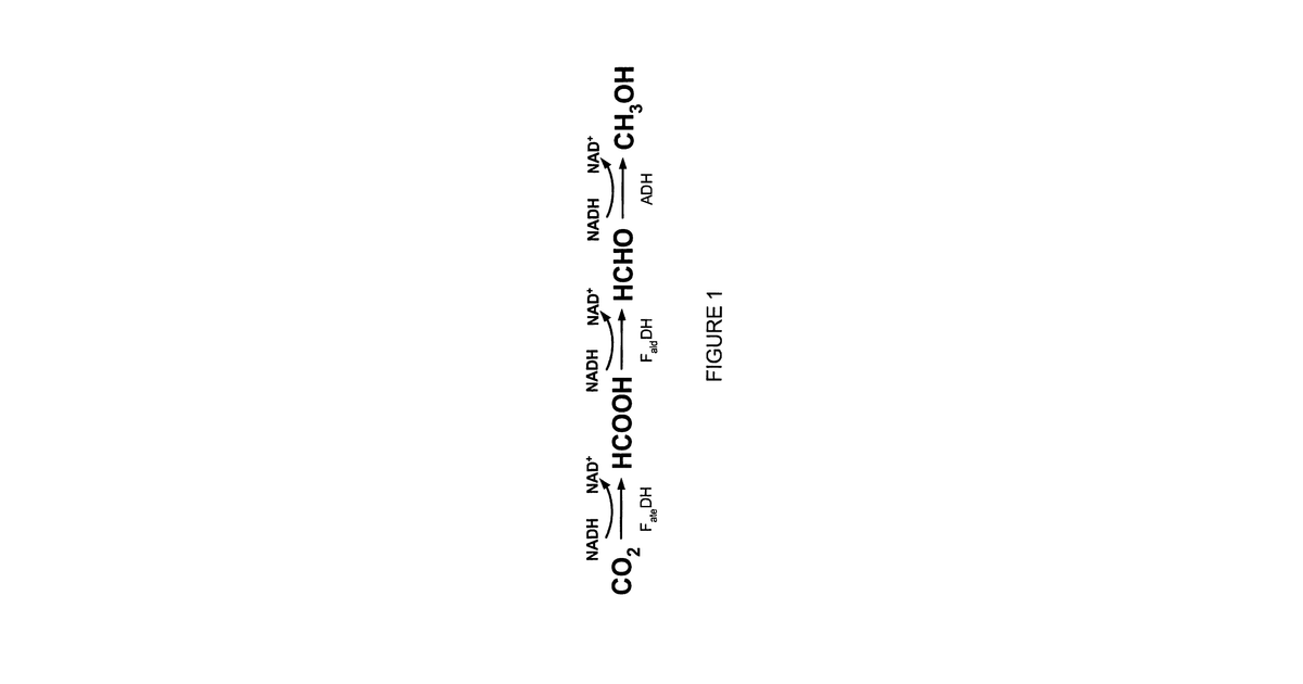 Patent drawing for Conversion of carbon dioxide to methanol in silica sol-gel matrix