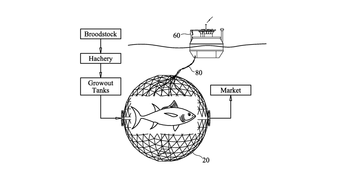 Patent drawing for Automated open ocean fish farm structures and systems for open ocean fish farming