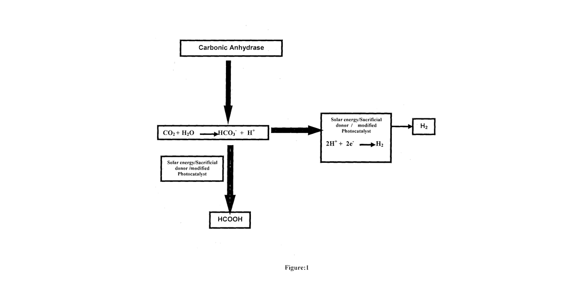 Patent drawing for Process for generation of hydrogen and syngas