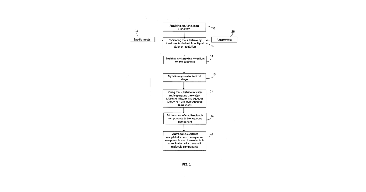 Patent drawing for Method of myceliating coffee