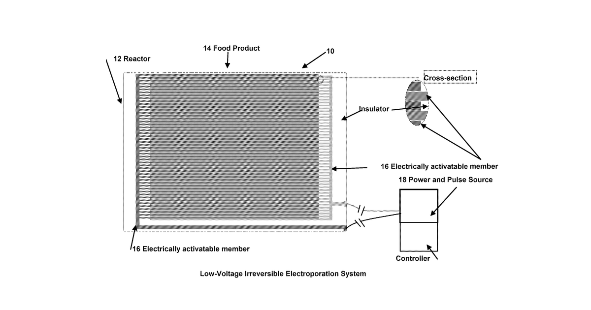 Patent drawing for Methods, apparatus, and process for the making of edible products using irreversible electroporation and/or electrolysis