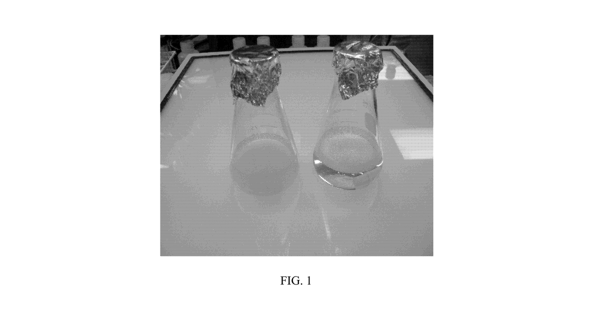 Patent drawing for Compositions for targeted anti-aging therapy