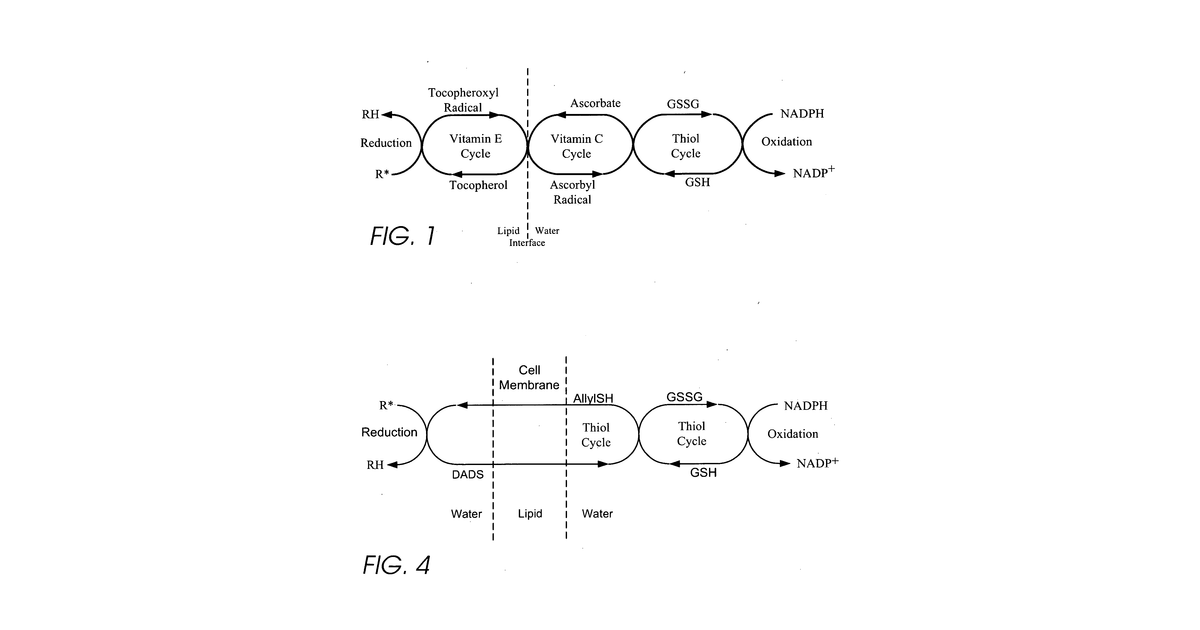 Patent drawing for Personal care and medicinal products incorporating organosulfur groups