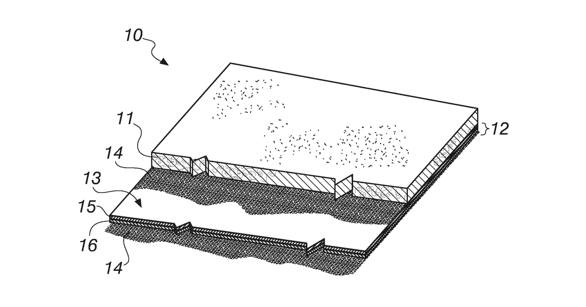 Patent drawing for Method for waterproofing blanks of shoes, gloves, items of clothing and other clothing accessories, blanks waterproofed with the method, shoes, gloves, items of clothing and other clothing accessories provided with the waterproofed blanks