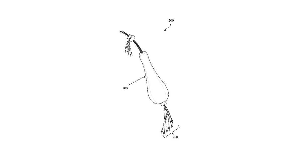Patent drawing for Device for tracking, monitoring and analyzing Biophysical-activities of users