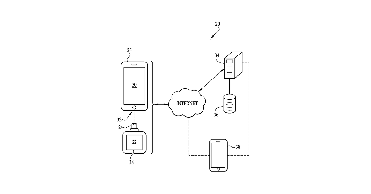 Patent drawing for Devices, Systems, and Methods For Securing, Accessing and Transacting Cryptocurrency and Non-Crytptocurrency Assets