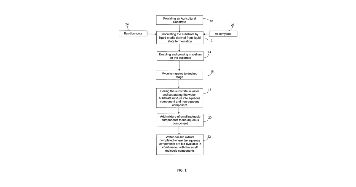 Patent drawing for Method of myceliating coffee