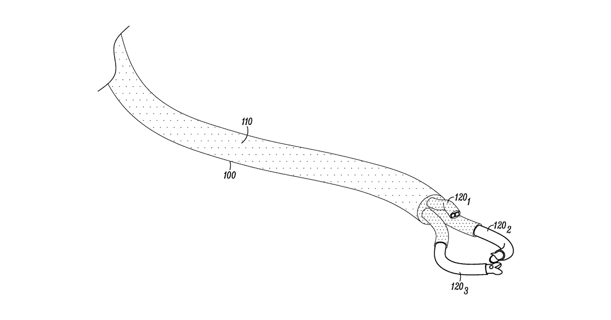 Patent drawing for Steerable catheter flexible robotic system for use with endoscopes