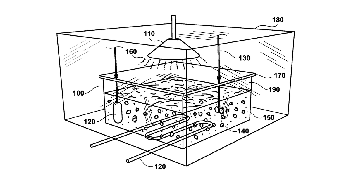 Patent drawing for Preparations including extracts of natural products such as wood and use thereof as flavorings for food and alcoholic and non-alcoholic beverages