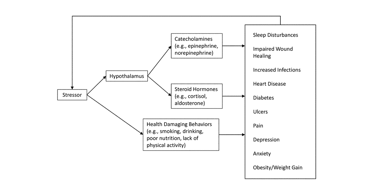 Patent drawing for Smart platform for stress reduction and sleep promotion