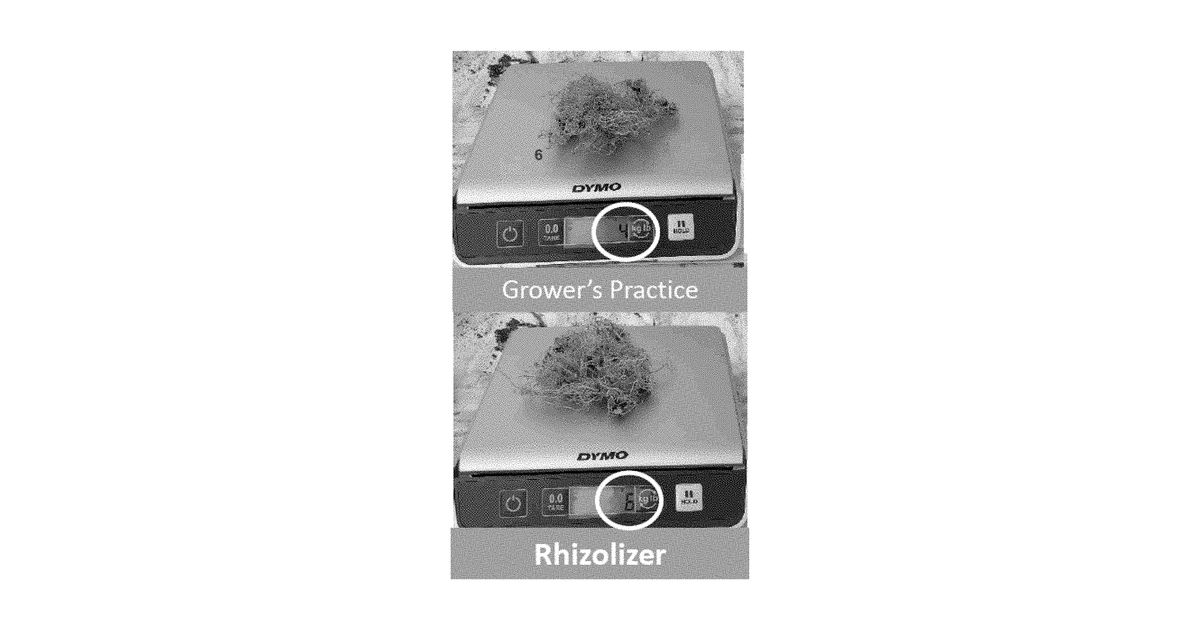 Patent drawing for Microbe-Based Products for Enhancing Plant Root and Immune Health