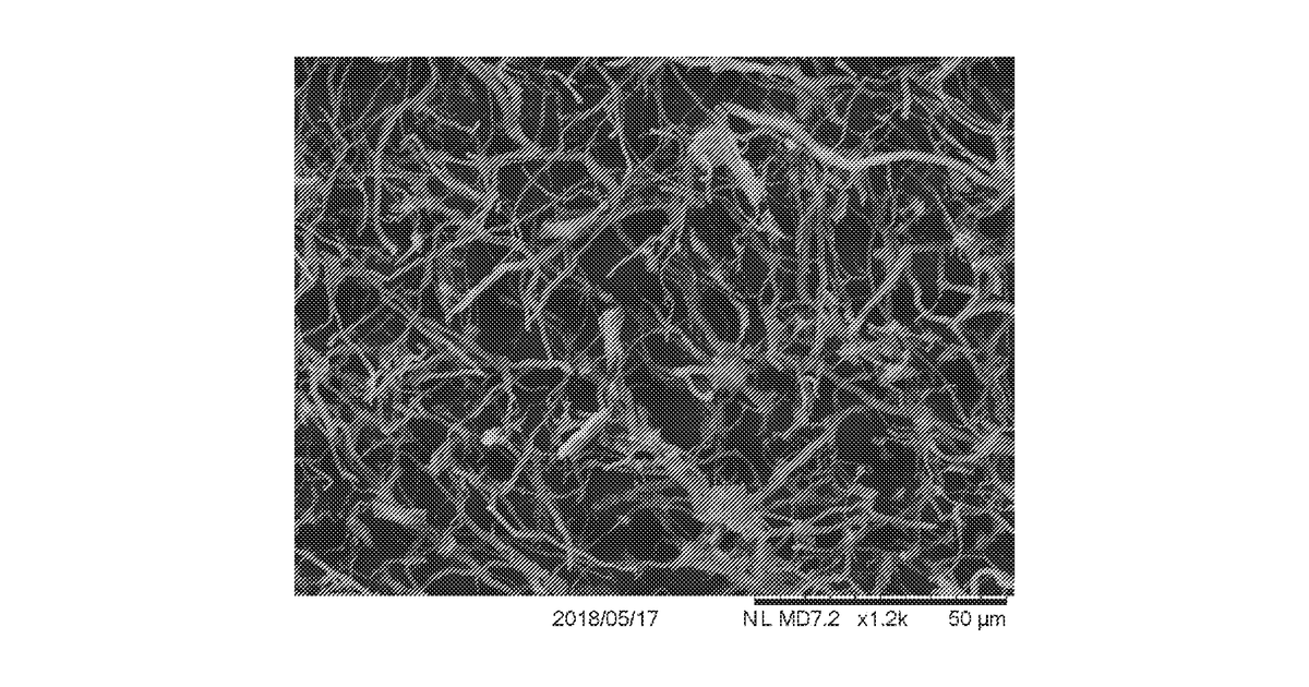 Patent drawing for Mycelium materials, and methods for production thereof