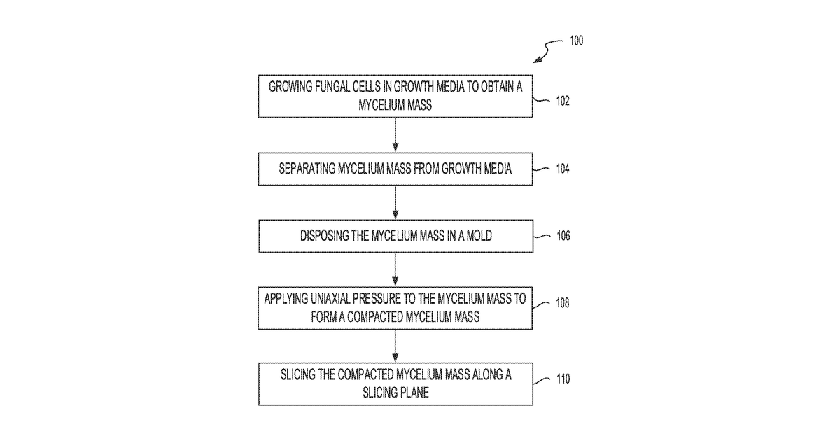 Patent drawing for Methods for forming directional mycelium fibers