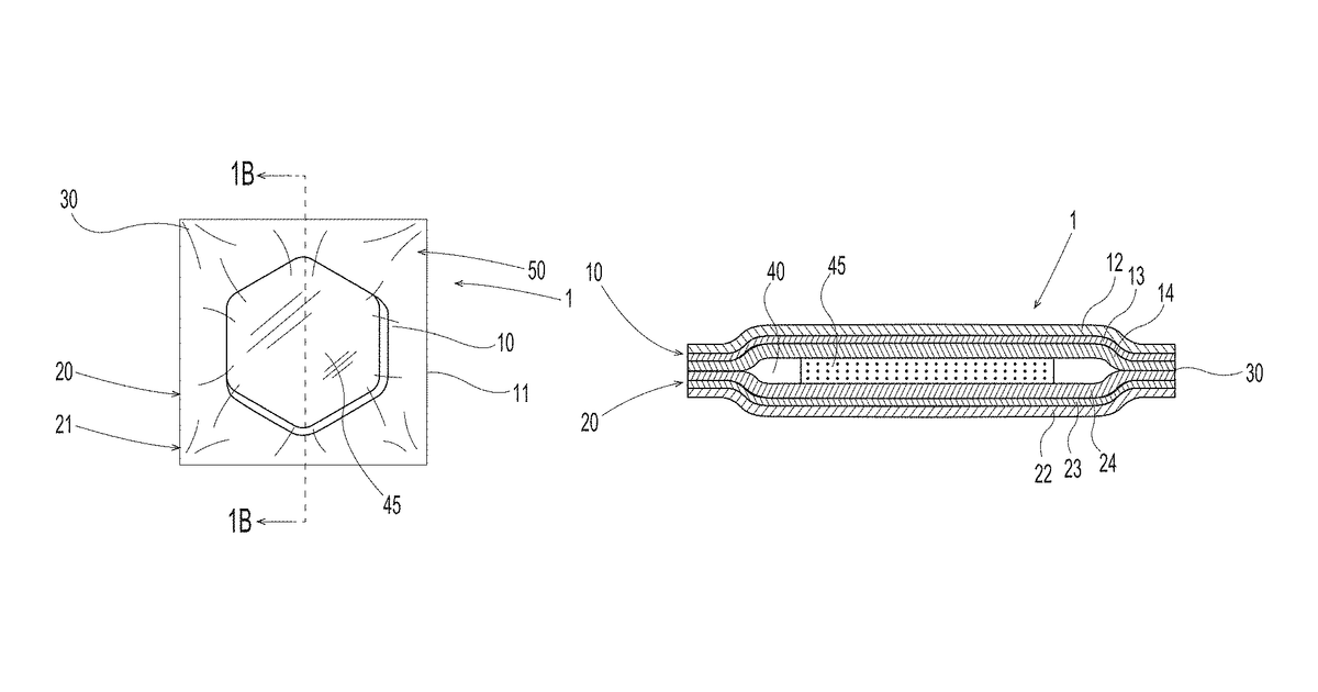 Patent drawing for Biodegradable and/or home compostable sachet containing a solid article