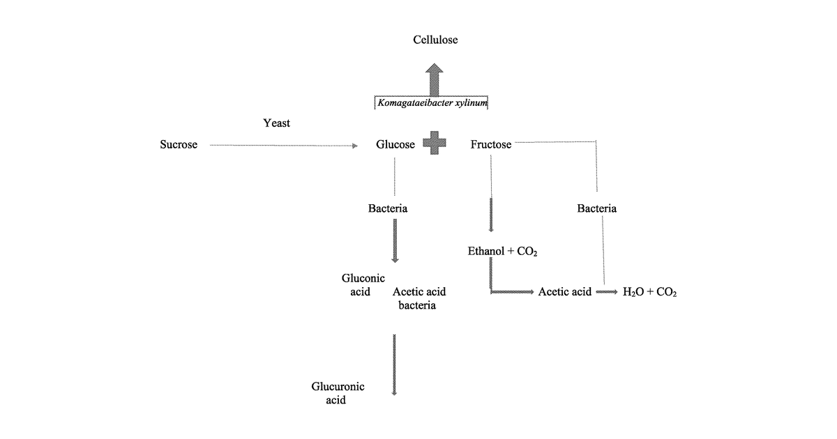 Patent drawing for Microorganism Compatible Alcoholic Kombucha Flavorings