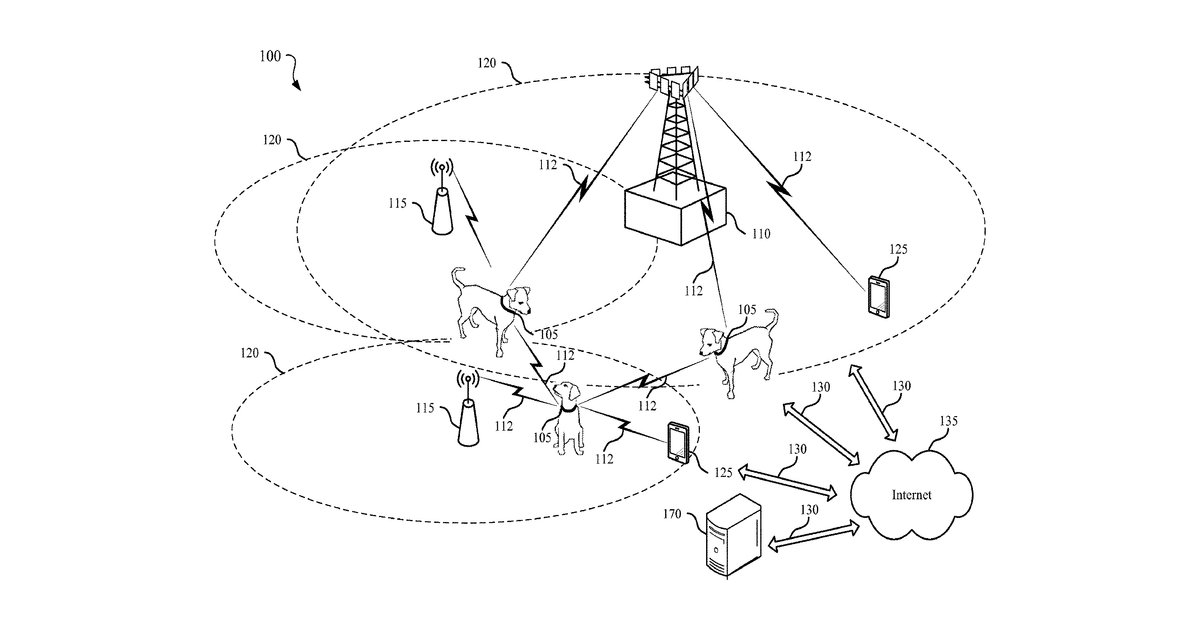 Patent drawing for Data-acquiring and reporting animal collar