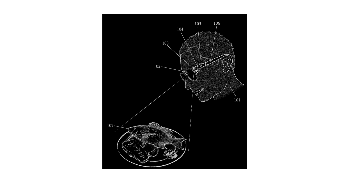 Patent drawing for Devices, Systems, and Methods, including Augmented Reality (AR) Eyewear, for Estimating Food Consumption and Providing Nutritional Coaching