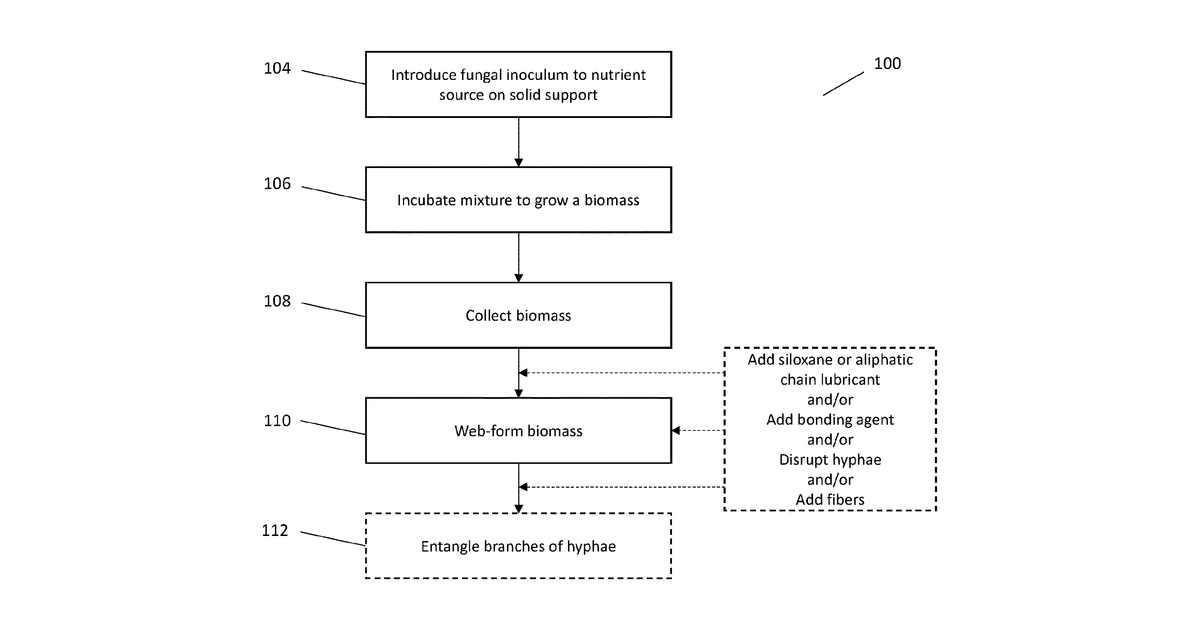 Patent drawing for Functionalization of Mycelium Materials