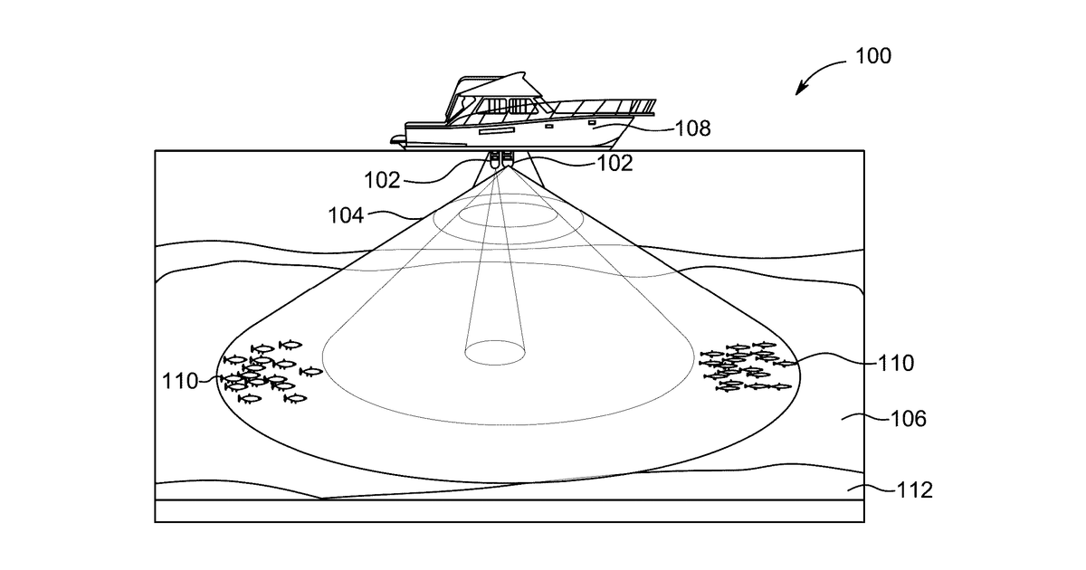 Patent drawing for Fish species discrimination system and method