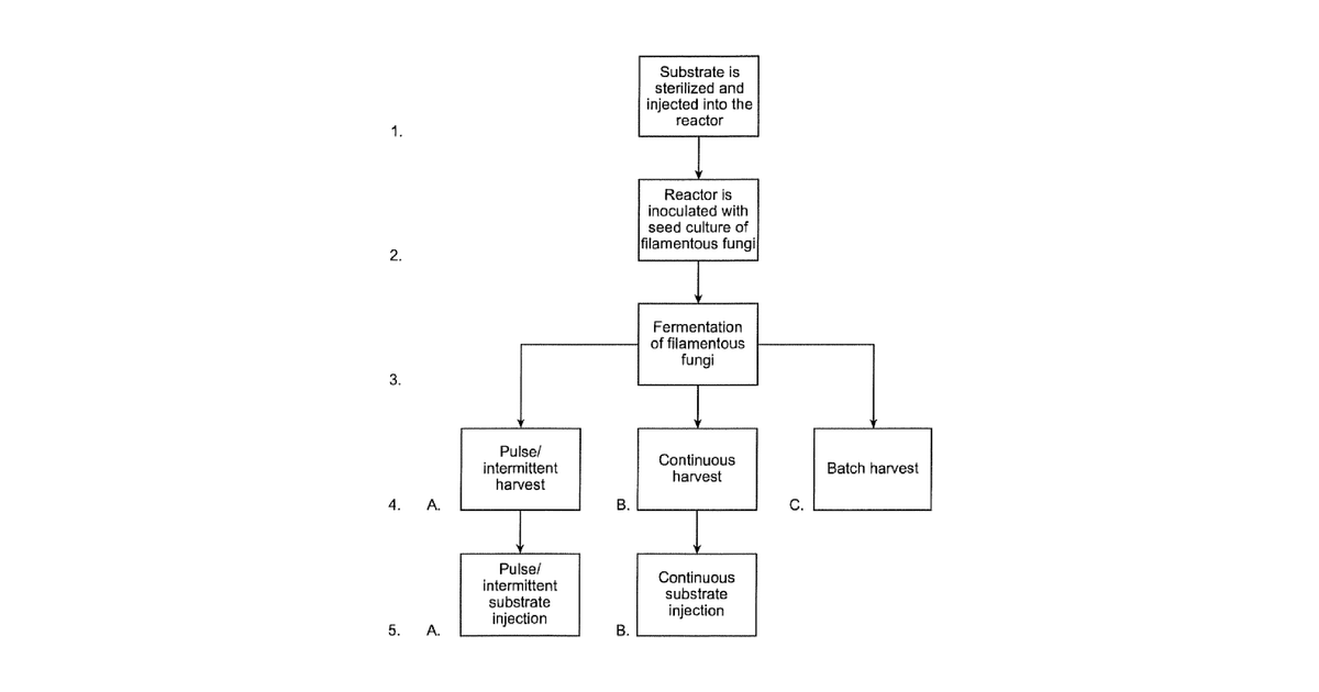 Patent drawing for Enhanced Aerobic Fermentation Methods for Producing Edible Fungal Mycelium Blended Meats and Meat Analogue Compositions