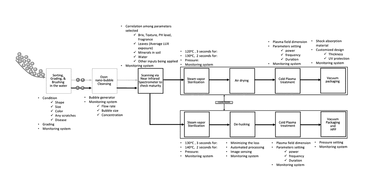 Patent drawing for Methodology for extending the shelf life of perishable fruits through non-destructive, optimum-thermal, and non-thermal sterilization based on traceable data generated by ai-based algorithms