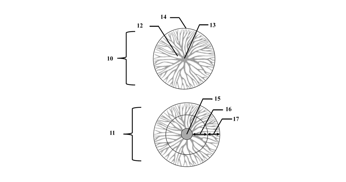Patent drawing for Mycelium-Based Encapsulation of Fats and/or oils for Controlled Release in Foods and Cosmetics