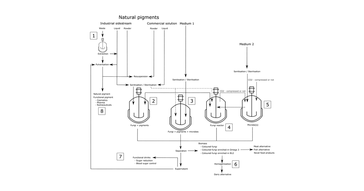 Patent drawing for Production of coloured fungal mycelium