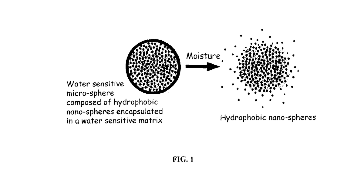 Patent drawing for Multi component controlled release system for oral care, food products, nutraceutical, and beverages