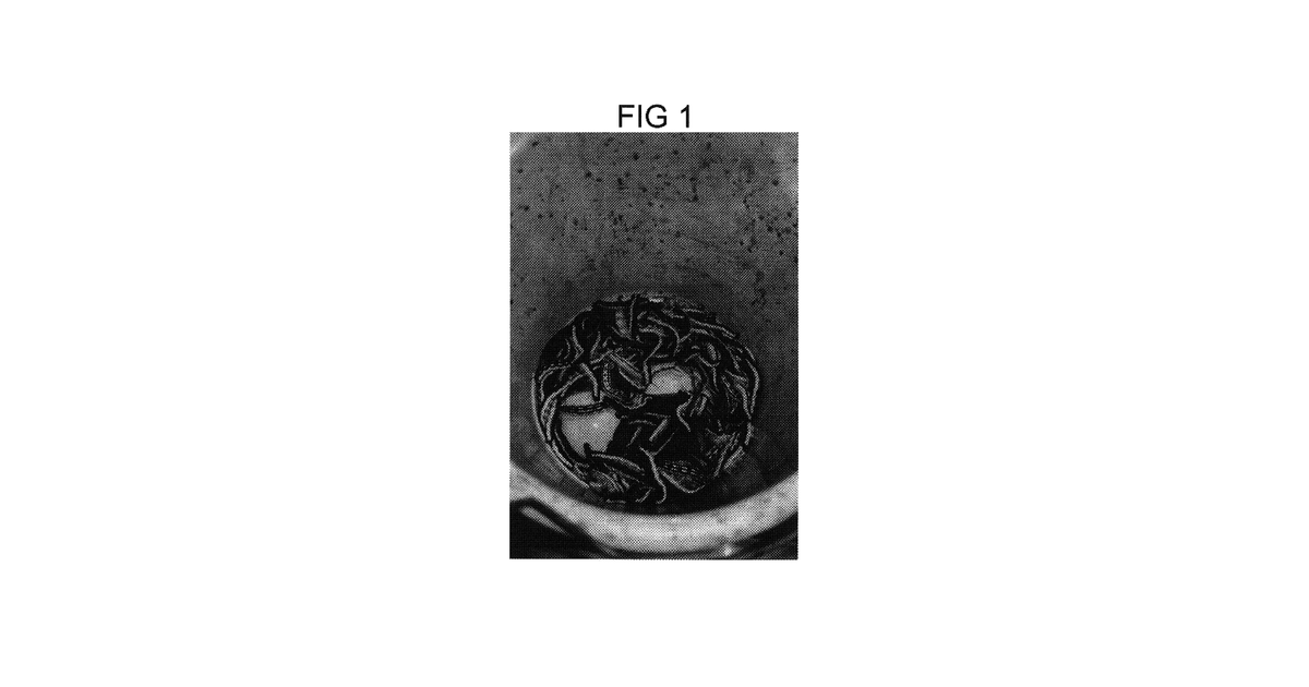 Patent drawing for Method of preserving live Ceratomia catalpae larvae for use as fishing bait