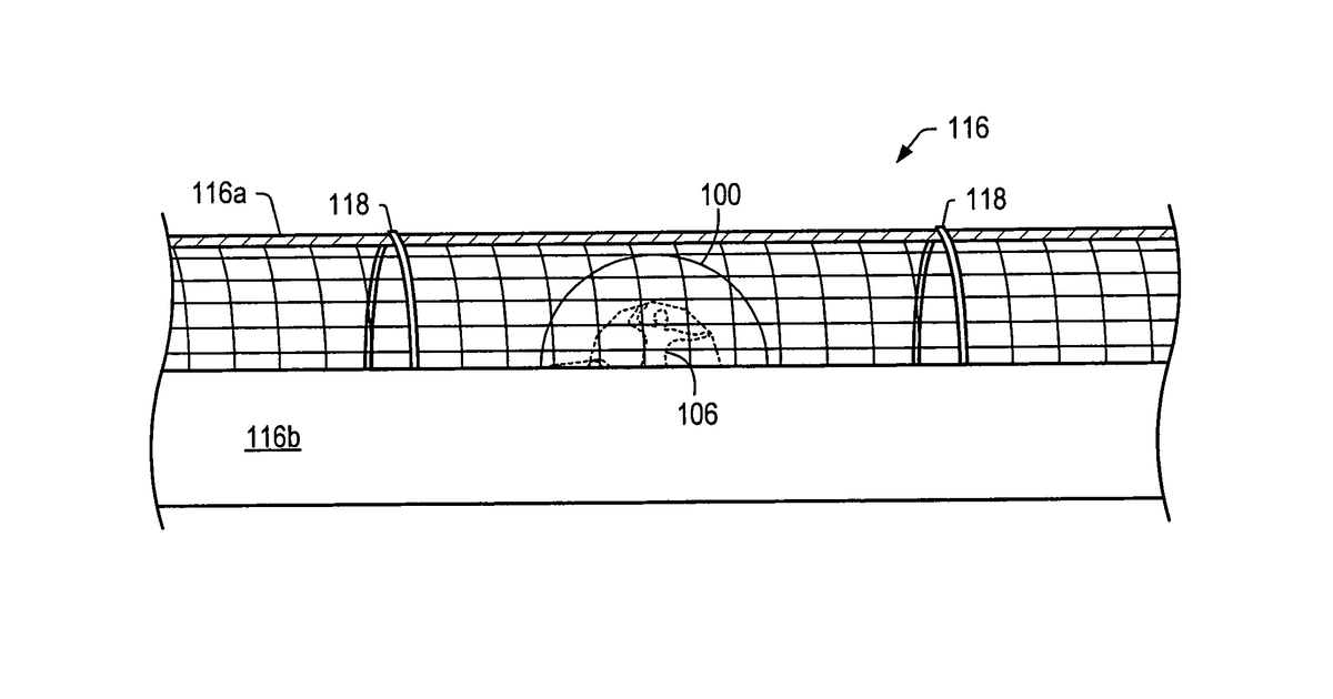 Patent drawing for Rollable carrier ride