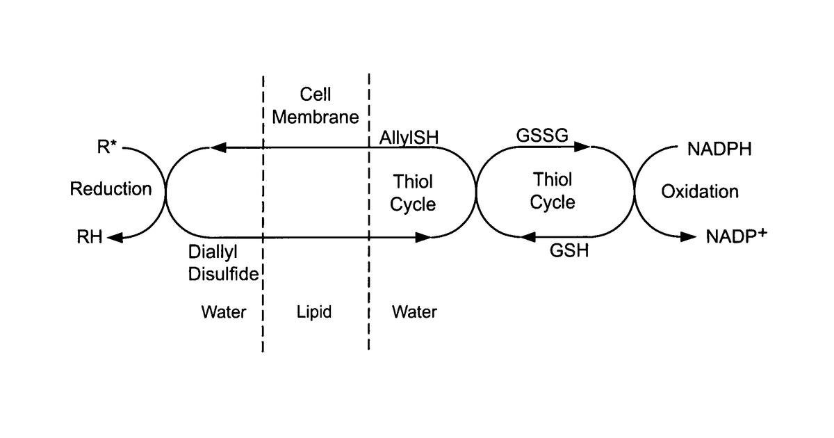Patent drawing for Method to increase the bioavailability of cysteine