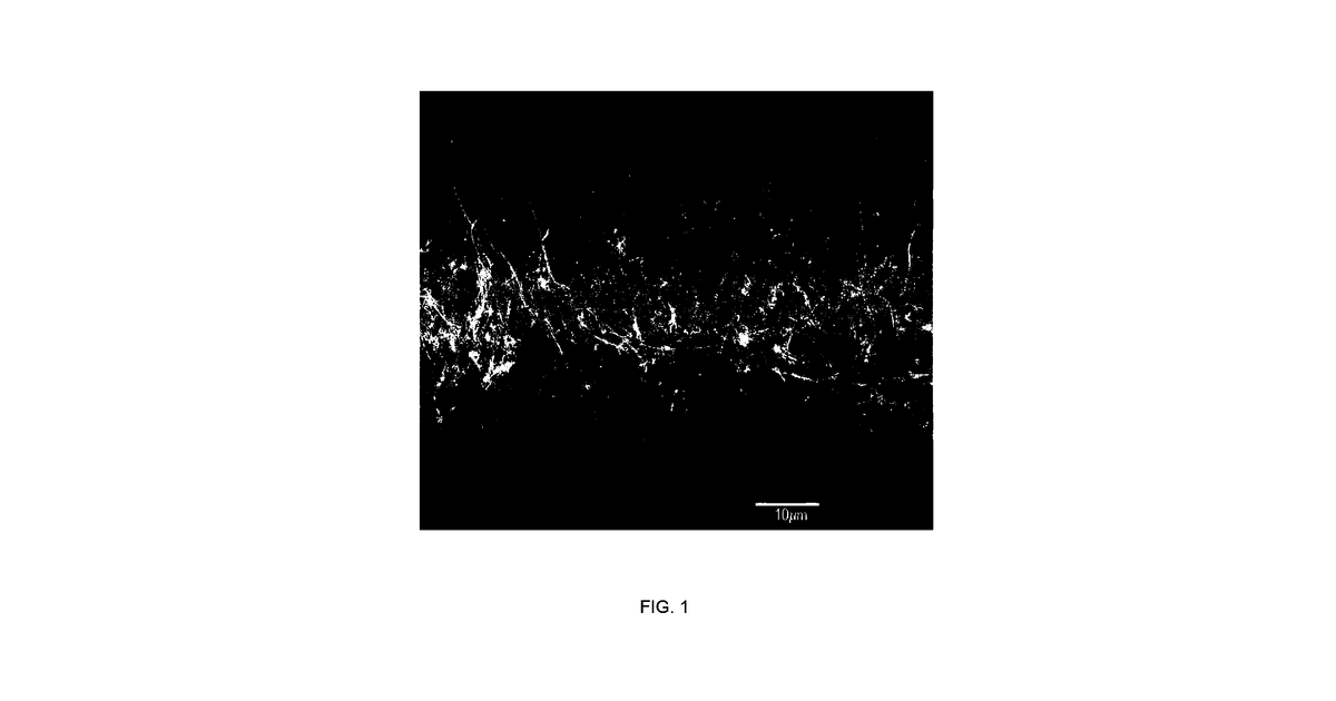 Patent drawing for Medical device applications of nanostructured surfaces
